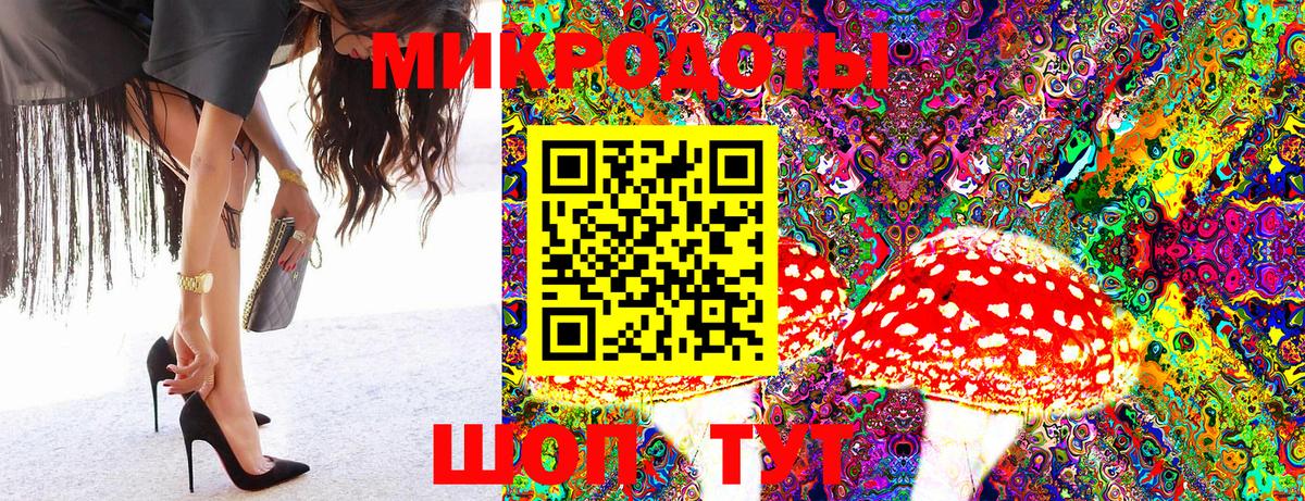 Тайшет  Псилоцибиновые грибы Psilocybine cubensis  Вход с VPN 